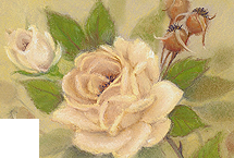 Beauty Among the Thorns