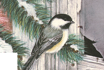 Winter’s Quiet Embrace